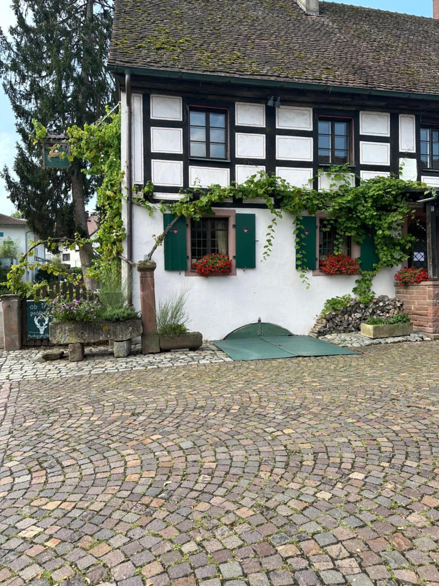Exklusive Maisonette-Wohnung Am Rande Von Freiburg Merzhausen Eksteriør bilde